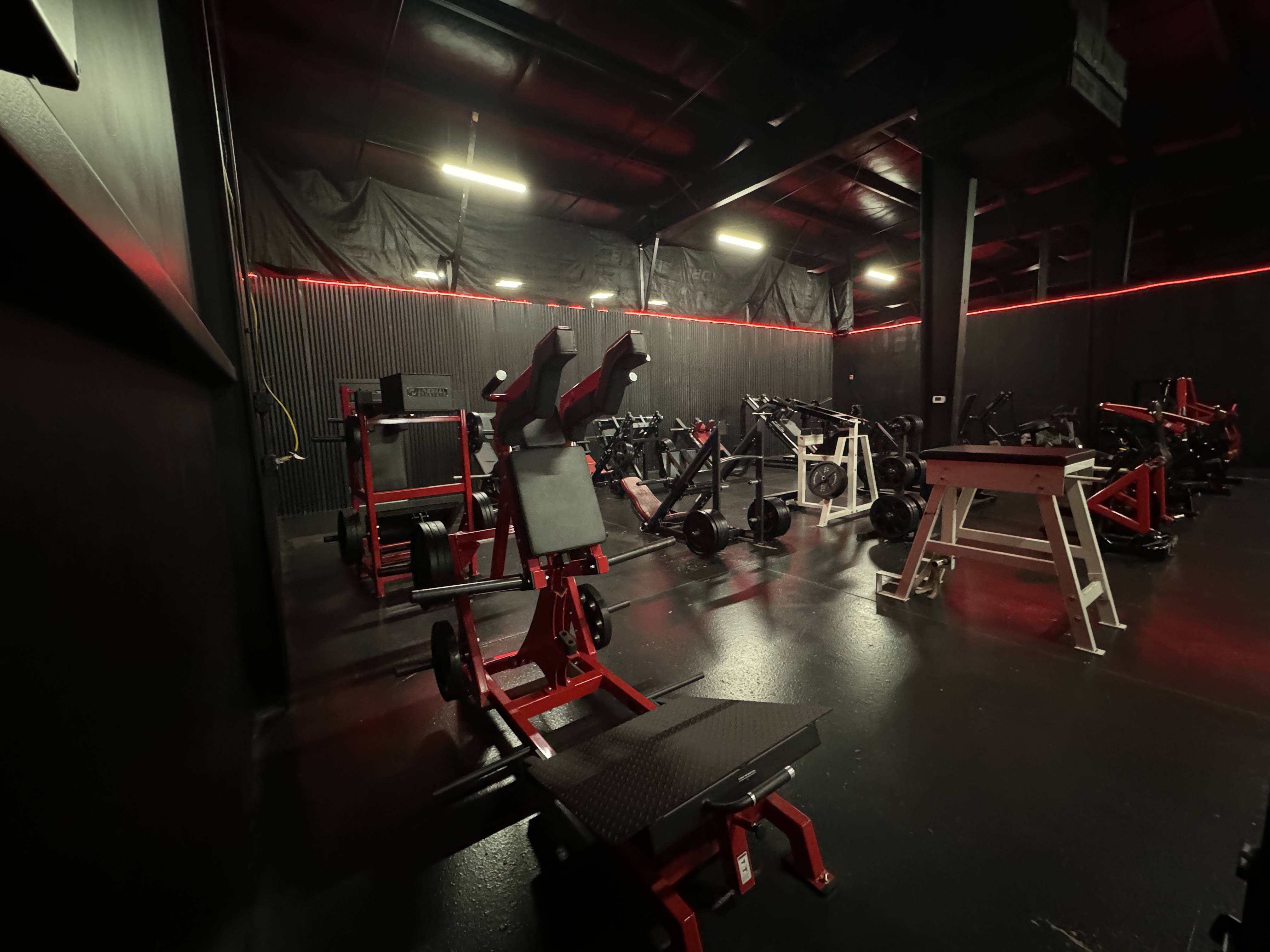 Fight night — competitors
